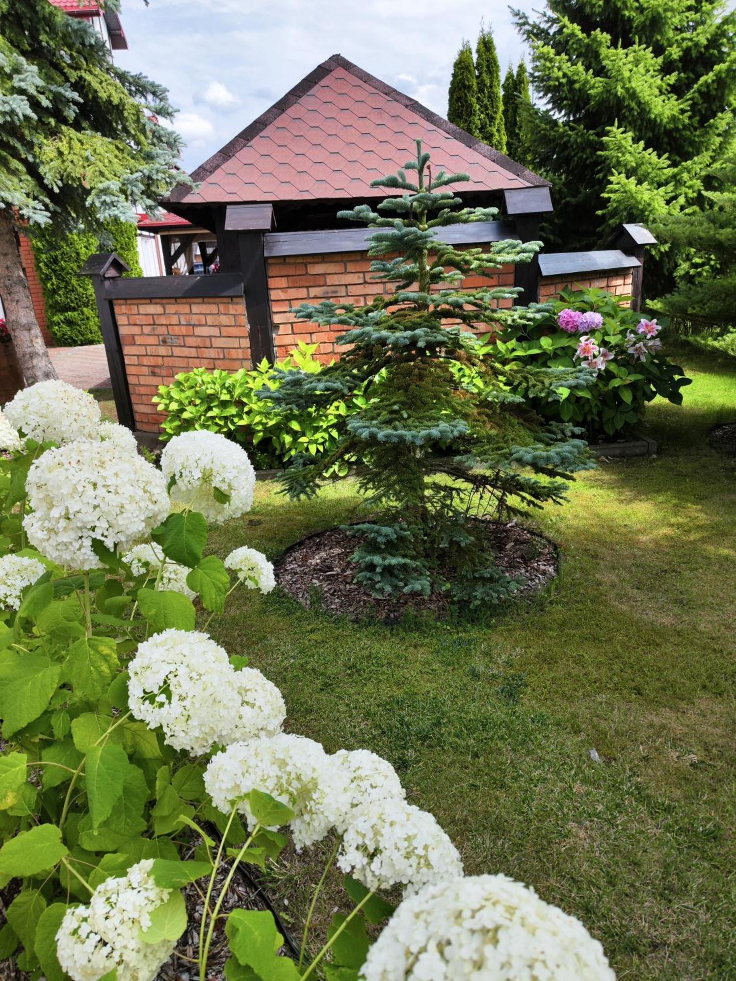 Michalek W Rowach Bed & Breakfast รอวี ภายนอก รูปภาพ