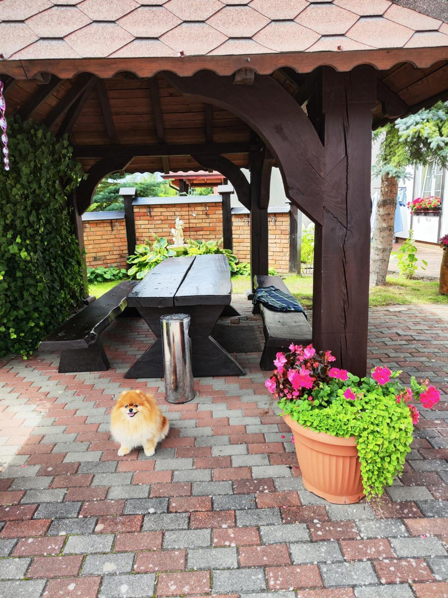 Michalek W Rowach Bed & Breakfast รอวี ภายนอก รูปภาพ