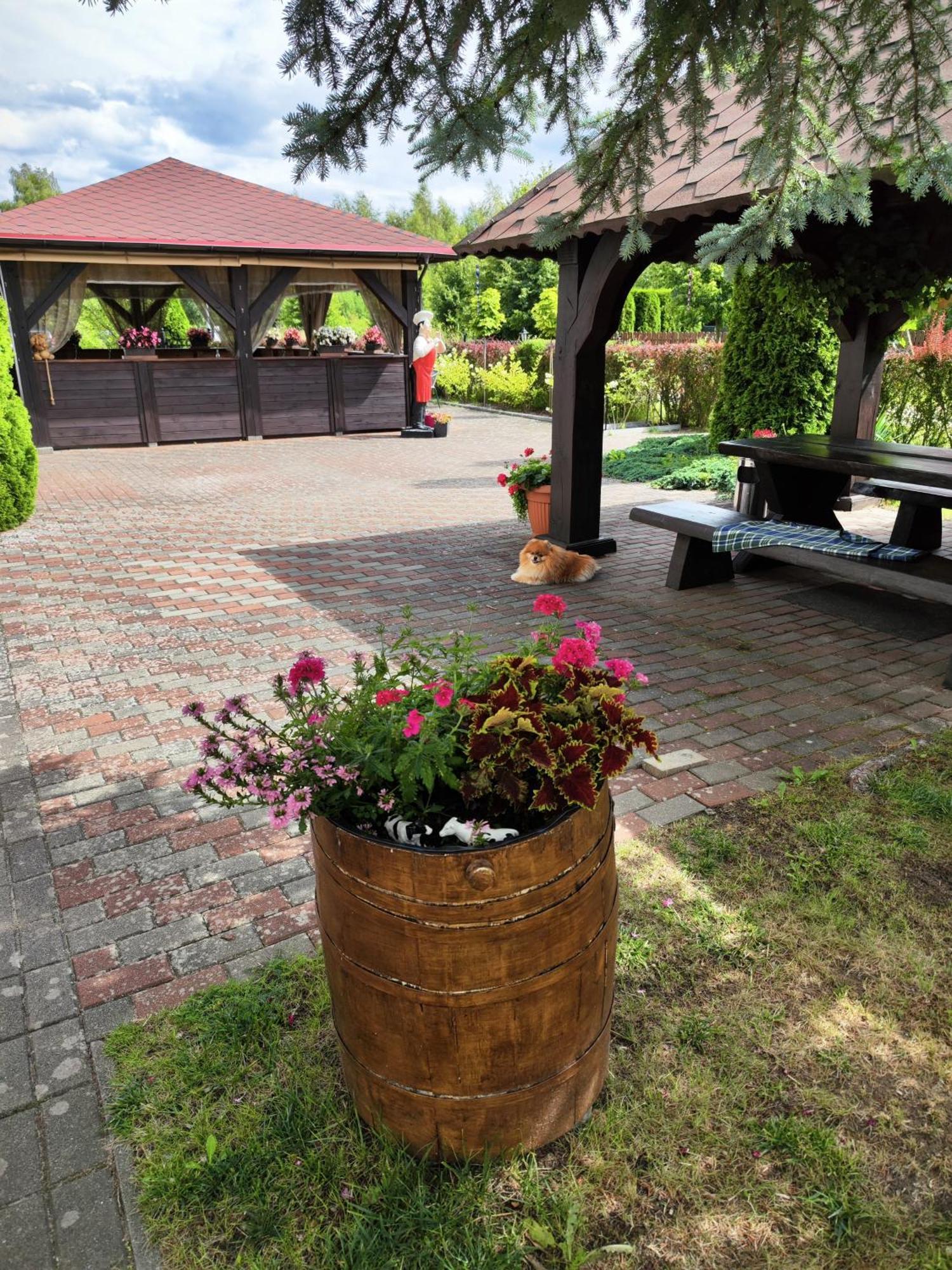 Michalek W Rowach Bed & Breakfast รอวี ภายนอก รูปภาพ