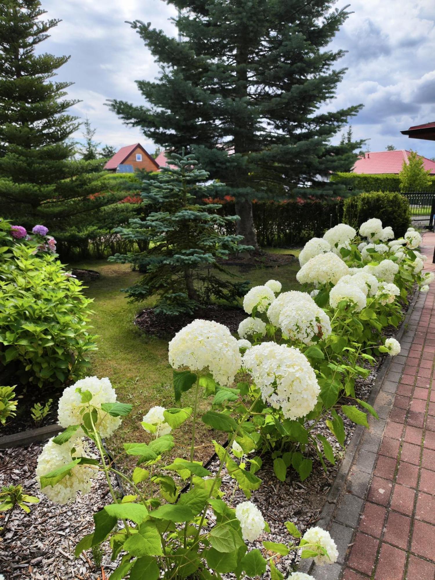 Michalek W Rowach Bed & Breakfast รอวี ภายนอก รูปภาพ